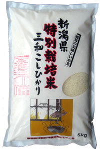 三和特別栽培米コシヒカリ