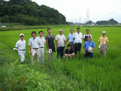 水稲担当指導員の技術統一会