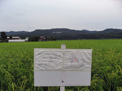 特別栽培米三和コシヒカリ